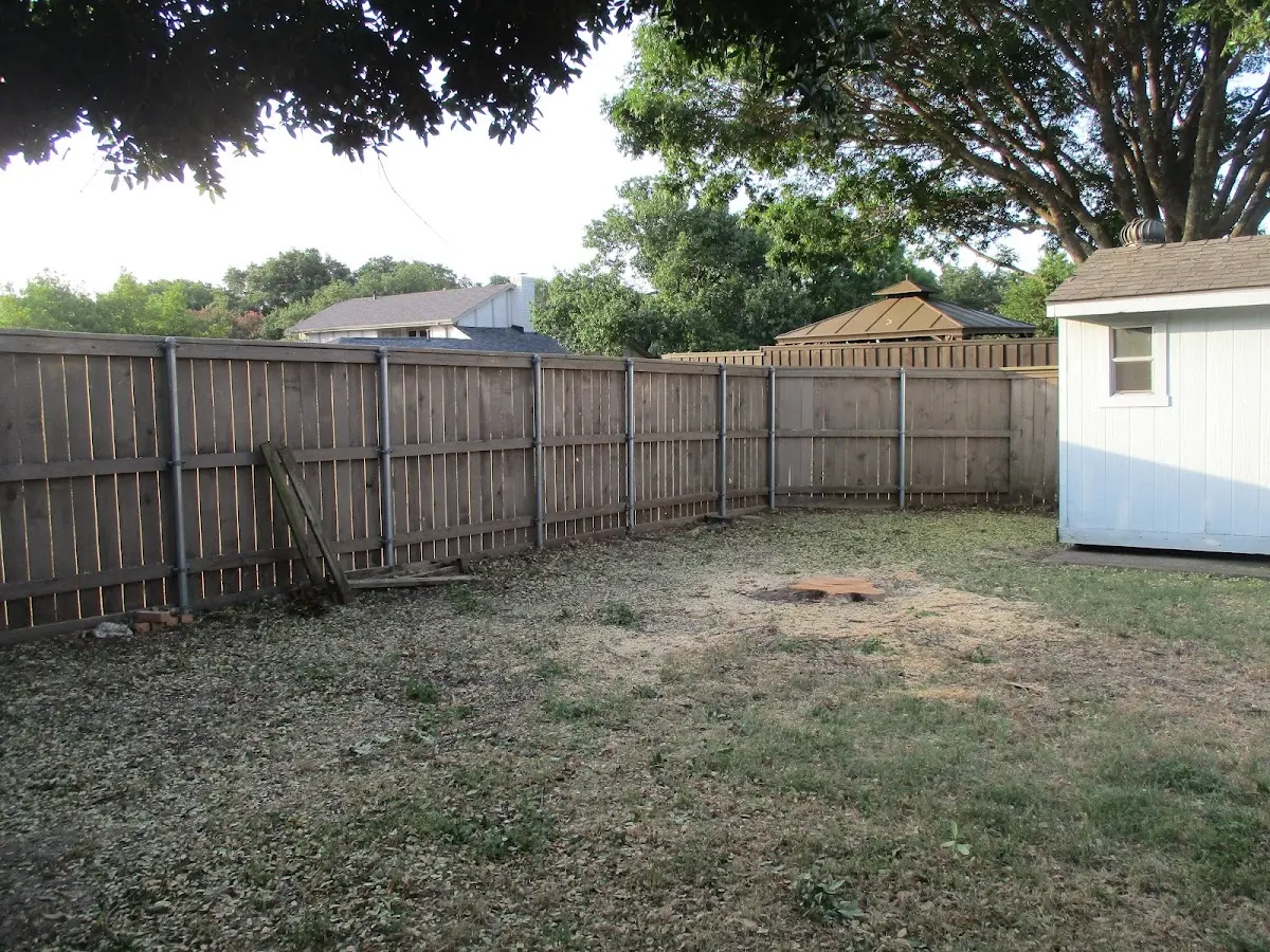 Cleared yard after professional tree removal in Gaylord